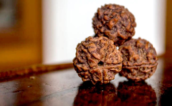 Rudraksha